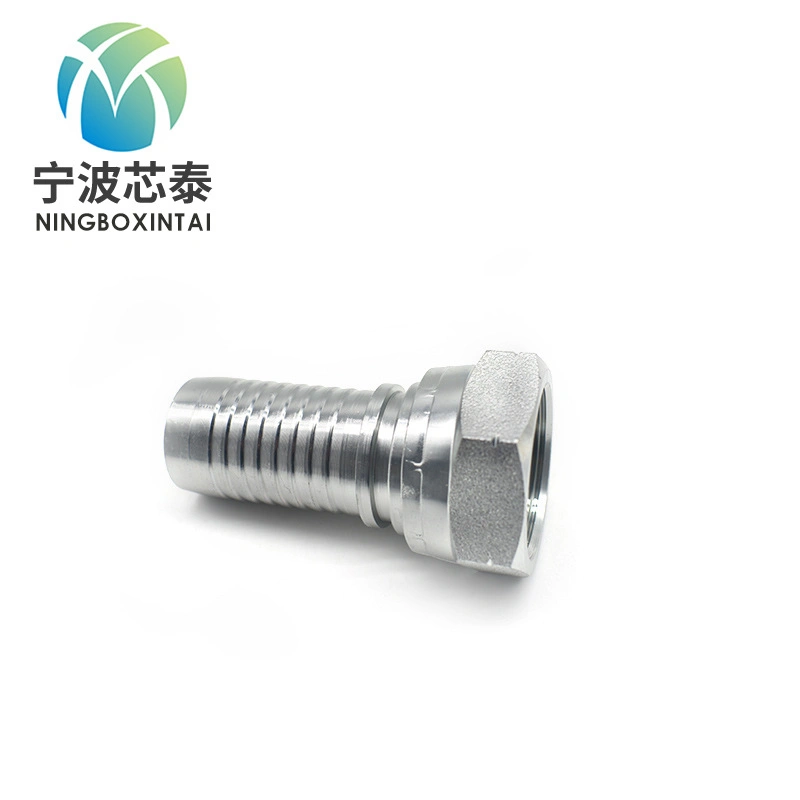 Provide Sample OEM Ningbo Metric Fitting Manufacture Female Hydraulic Hose Fitting