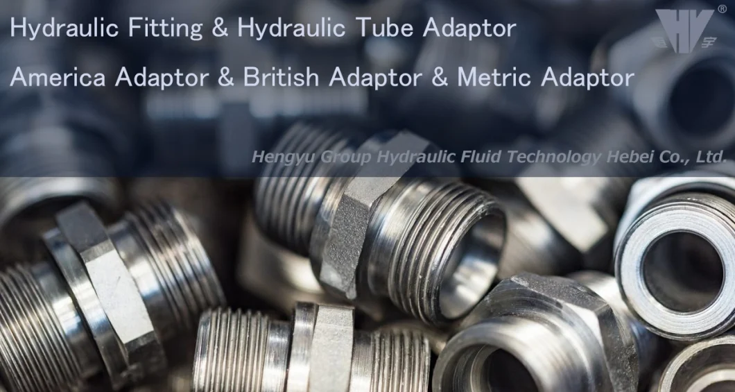 High Pressure Double Use Hydraulic British Adaptor Bsp Male Double Use for 60° Cone Seat or Bonded Seal/ Bsp Male 0-Ring Adapter-1bg